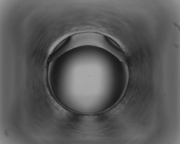 X0000092281518200709141211