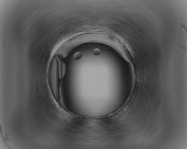 X0000092281520200709141211