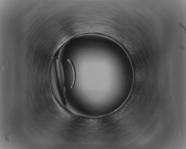 X0000092281521200709141211