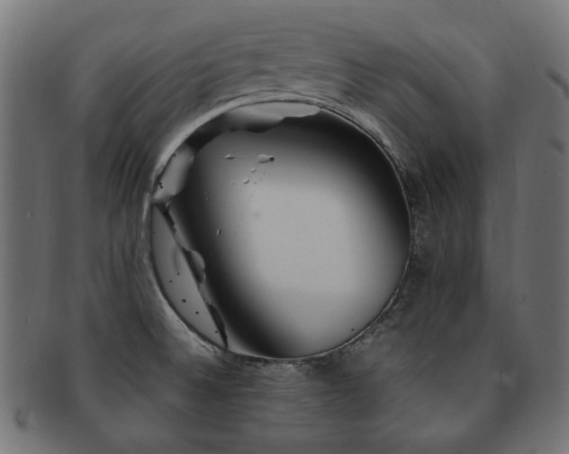 X0000092281524200709141211
