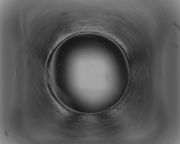 X0000092281525200709141211