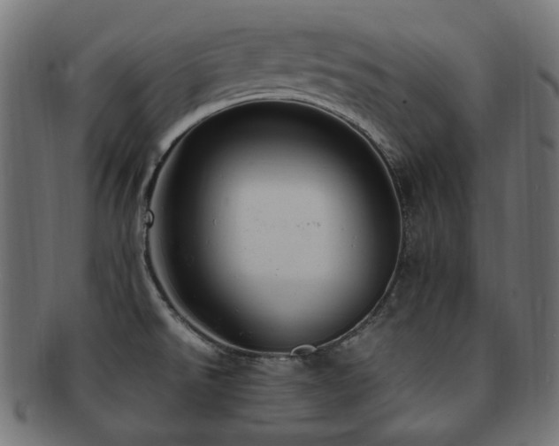 X0000092281526200709141211