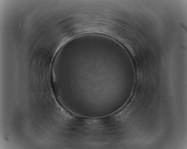 X0000092281529200709141211