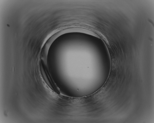 X0000092281530200709141211