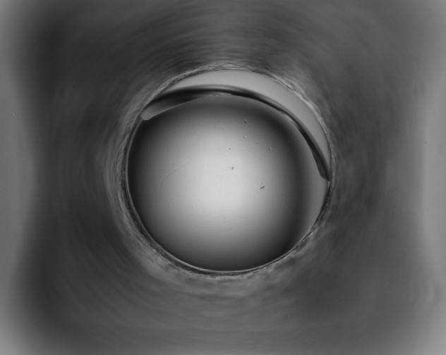 X0000092280001200709211204