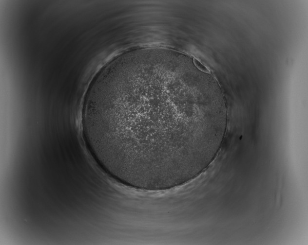 X0000092280002200709211204