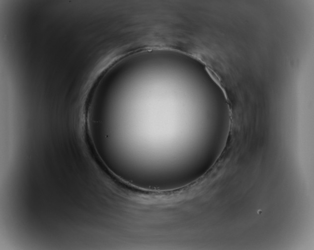 X0000092280005200709211204