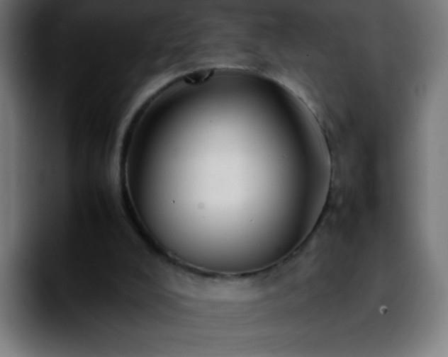 X0000092280008200709211203