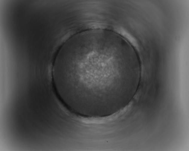 X0000092280009200709211203