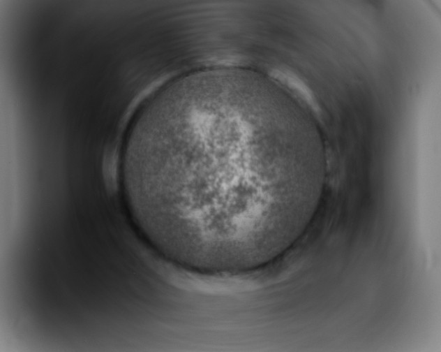 X0000092280012200709211203