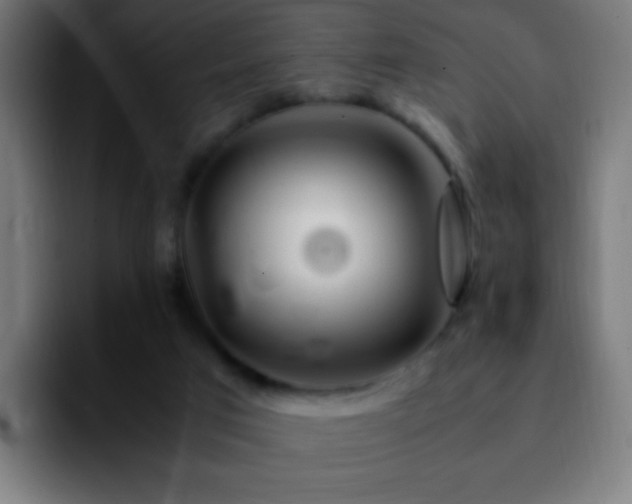 X0000092280017200709211203