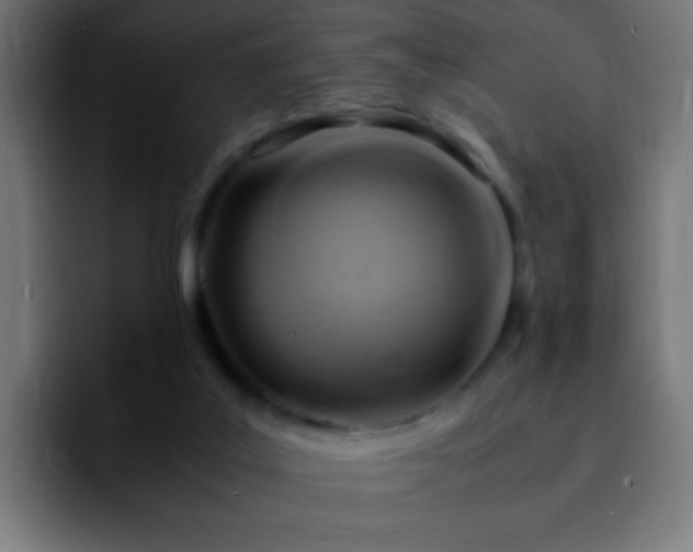 X0000092280019200709211203