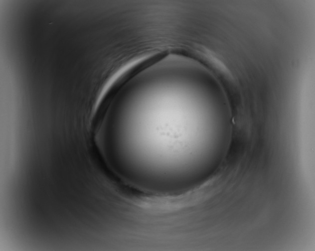 X0000092280025200709211203