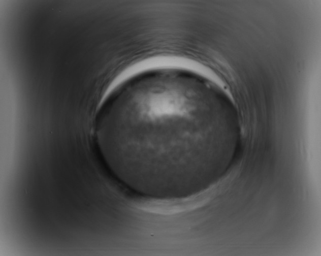 X0000092280029200709211203