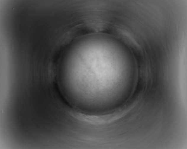 X0000092280030200709211203