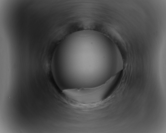 X0000092280039200709211203