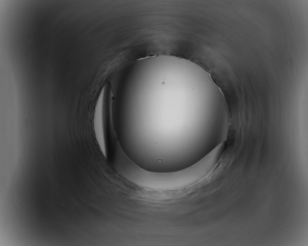 X0000092280045200709211203