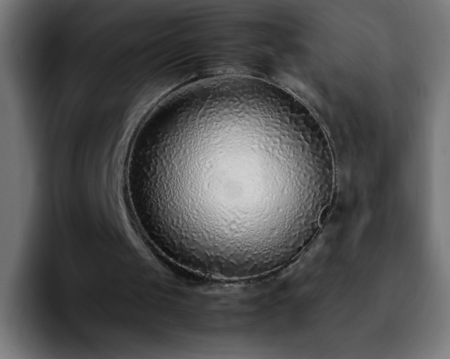 X0000092280049200709211202