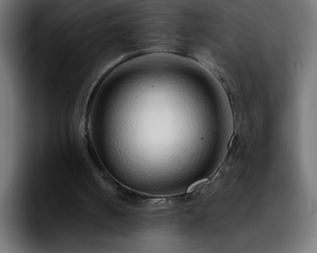 X0000092280050200709211202