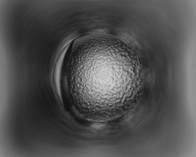 X0000092280051200709211202