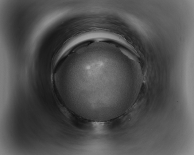 X0000092280052200709211202