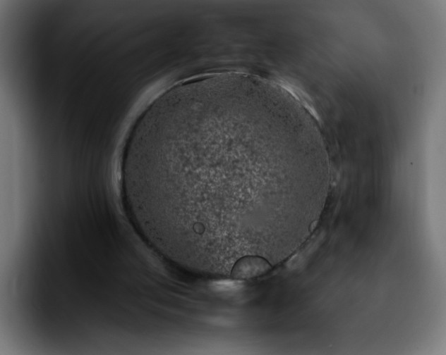 X0000092280053200709211203