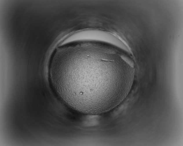 X0000092280055200709211203