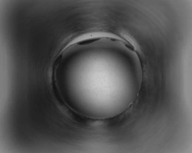 X0000092280058200709211203