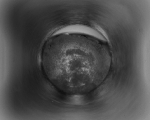 X0000092280059200709211203