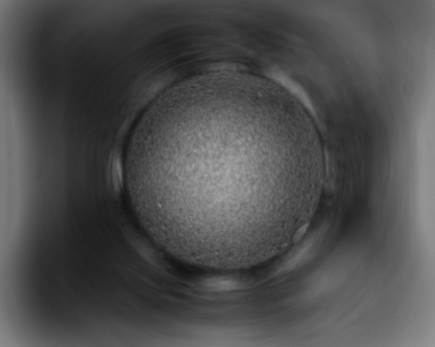 X0000092280061200709211203