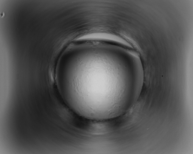 X0000092280062200709211203