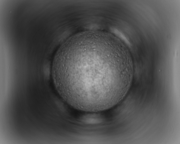 X0000092280065200709211203