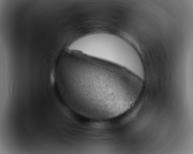 X0000092280069200709211203