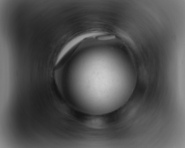 X0000092280073200709211203