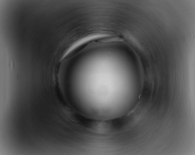 X0000092280074200709211203