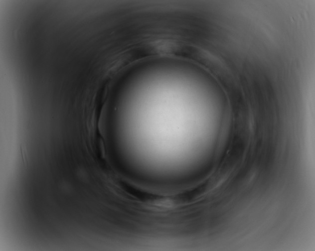 X0000092280075200709211203