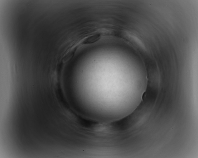 X0000092280077200709211203