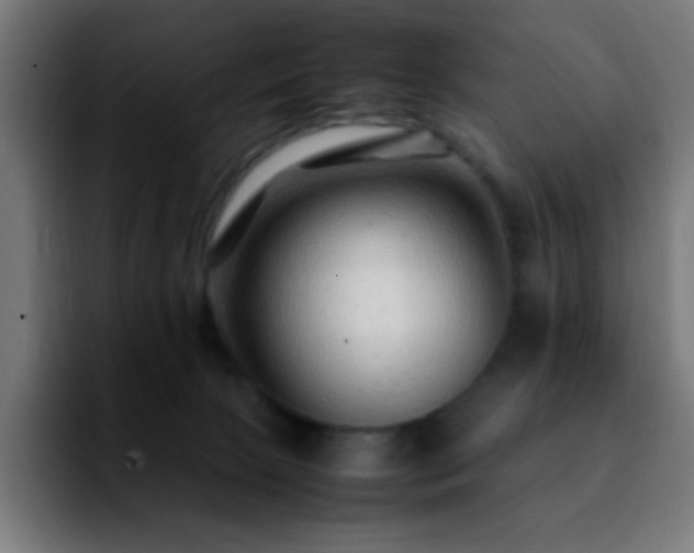 X0000092280081200709211203