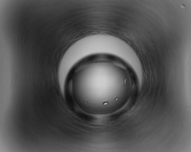 X0000092280084200709211203