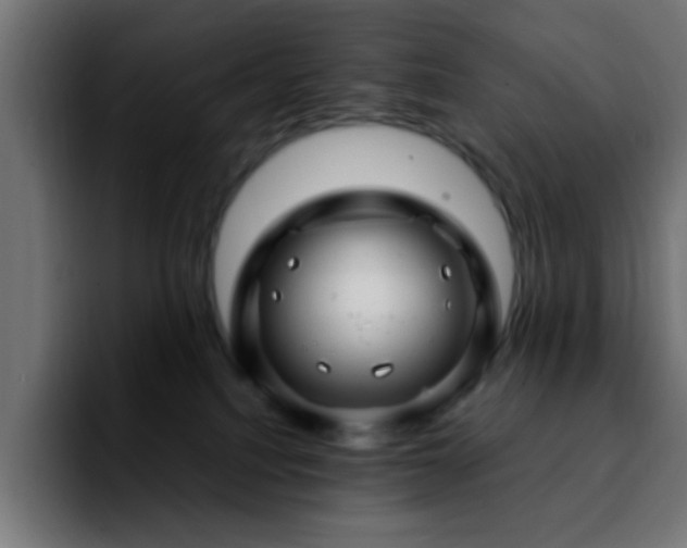 X0000092280088200709211203