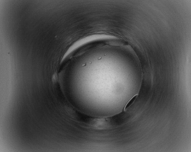 X0000092280089200709211203