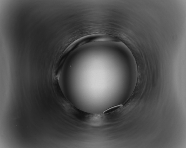 X0000092280096200709211203