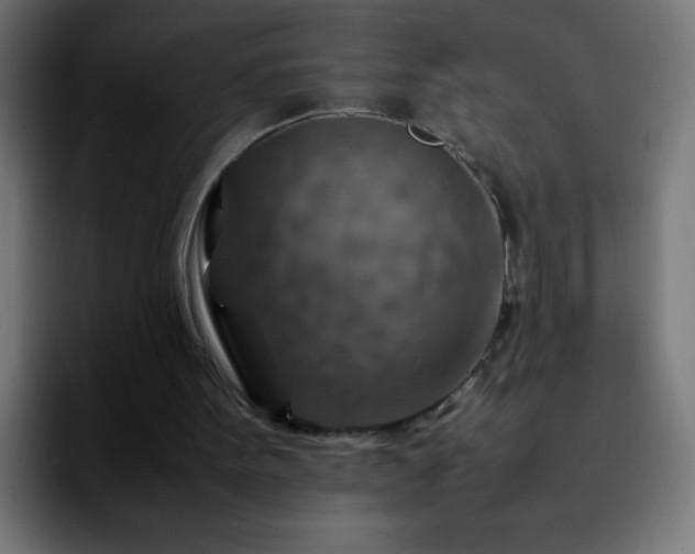 X0000092280099200709211202