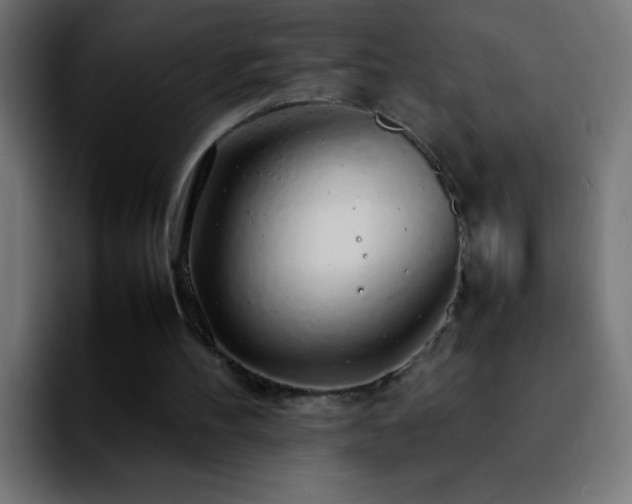 X0000092280100200709211202