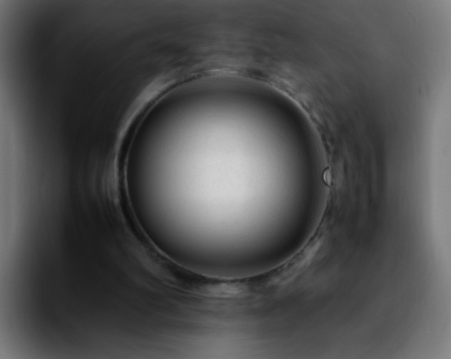 X0000092280102200709211202