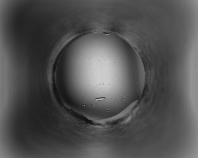 X0000092280103200709211202