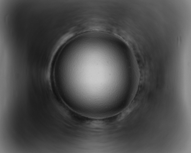 X0000092280104200709211202