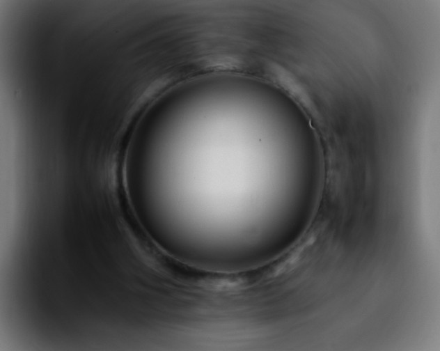 X0000092280106200709211202