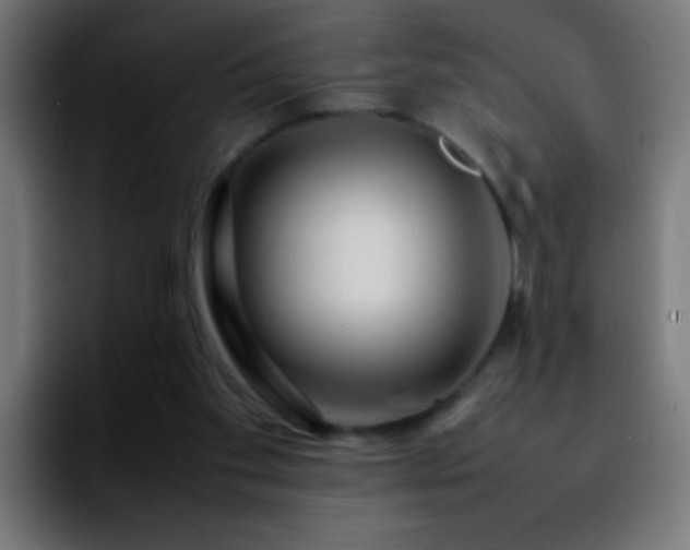 X0000092280109200709211202