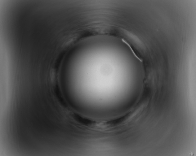 X0000092280121200709211202